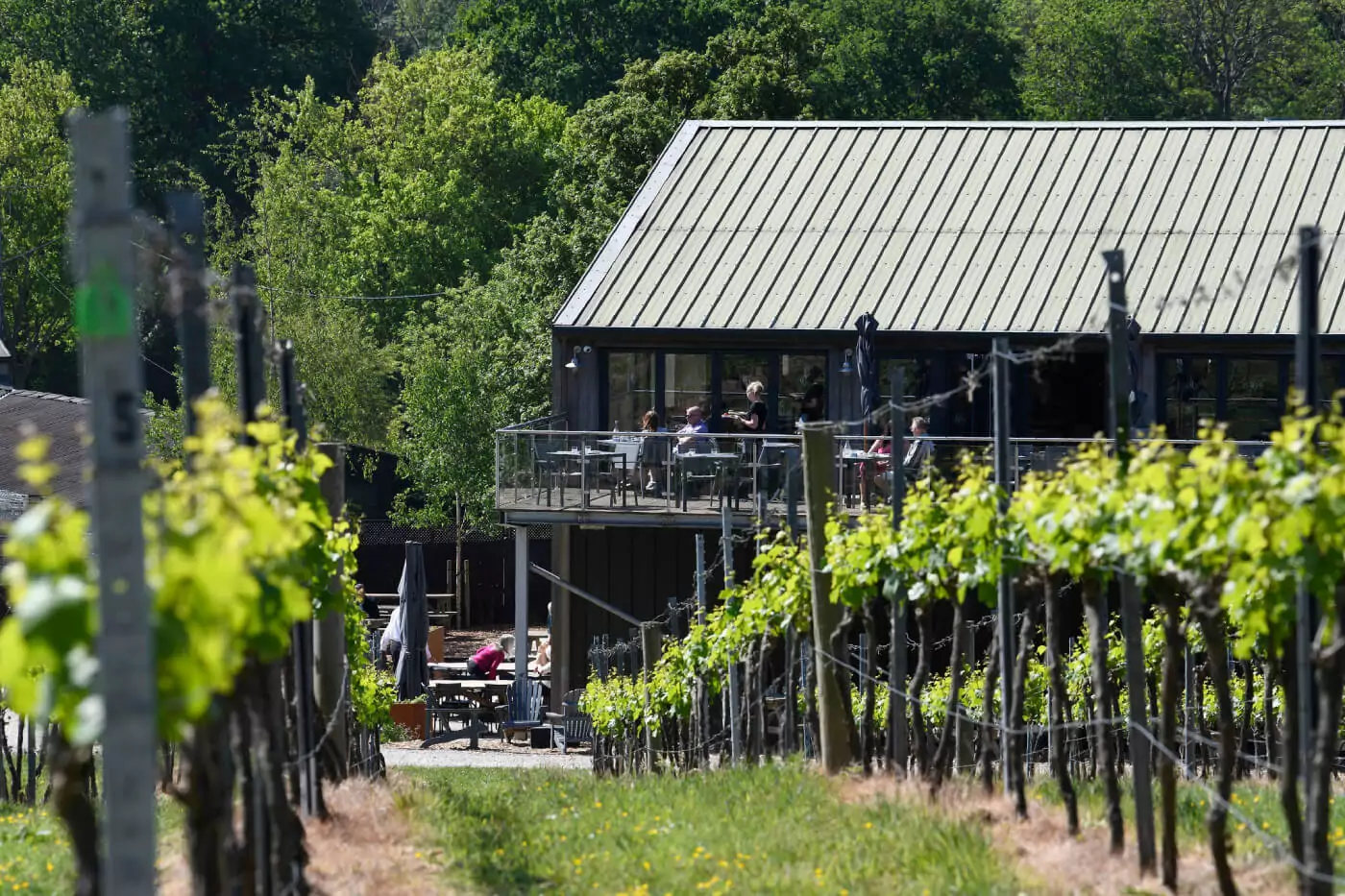 Bolney Wine Estate